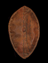 Masaai Shield.th.jpg